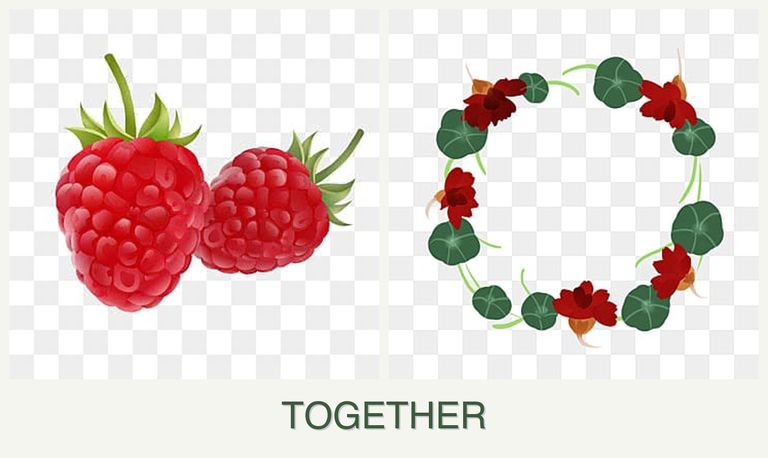 Can you plant raspberries and nasturtiums together?