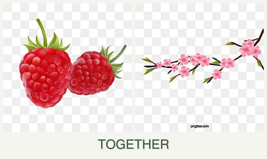 Can you plant raspberries and peaches together?