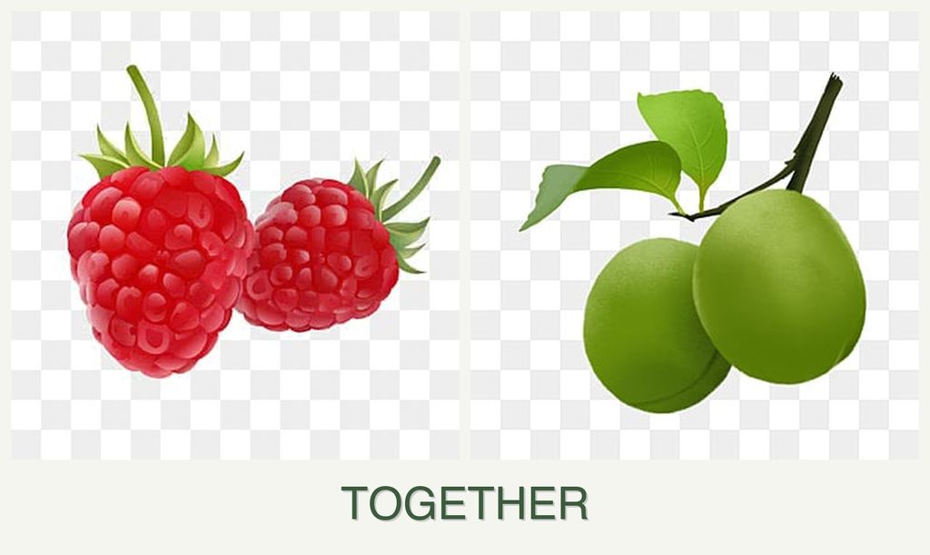Can you plant raspberries and plums together?