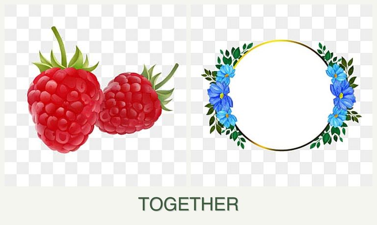 Can you plant raspberries and zinnias together?