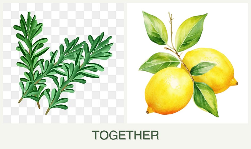 Can you plant rosemary and lemons together?