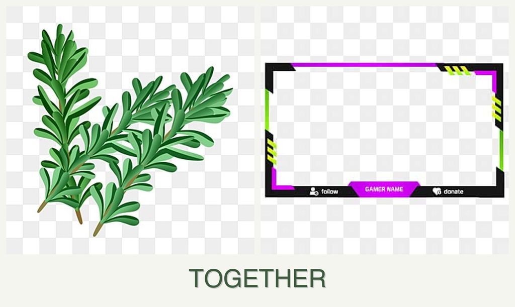 Can you plant rosemary and limes together?