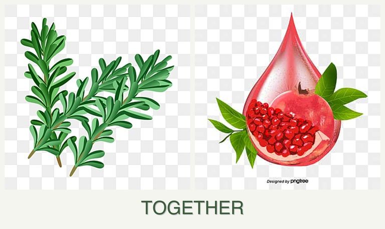 Can you plant rosemary and pomegranates together?