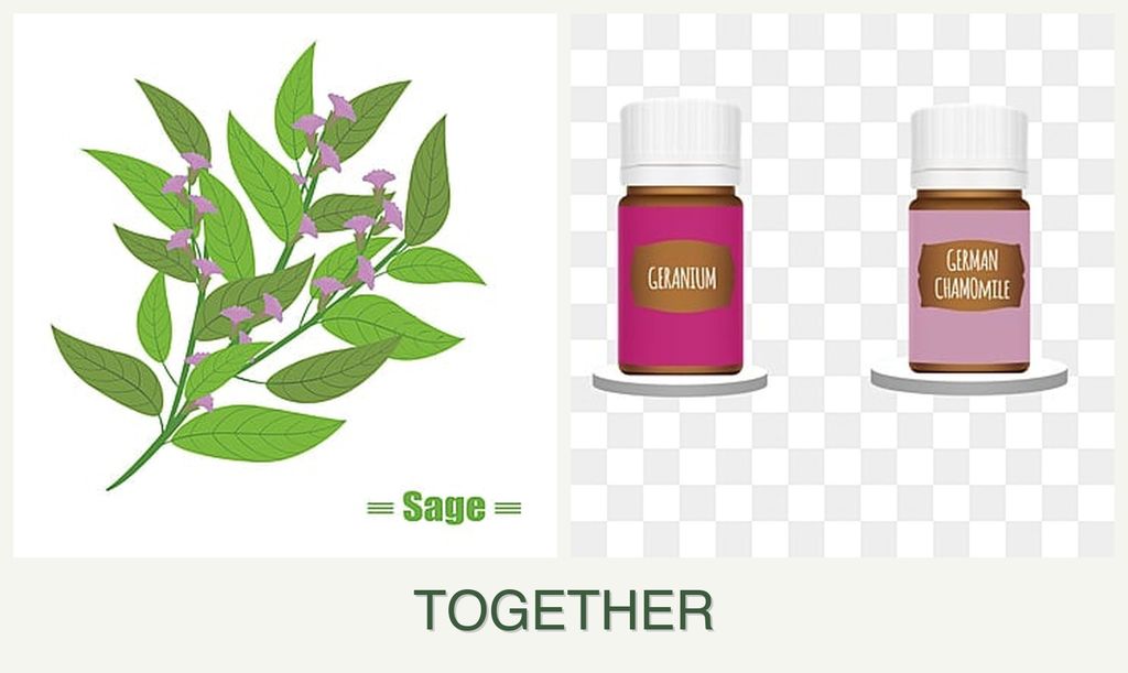 Can you plant sage and geraniums together?