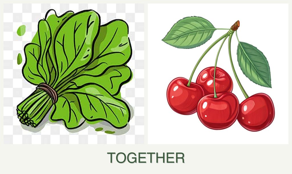 Can you plant spinach and cherries together?