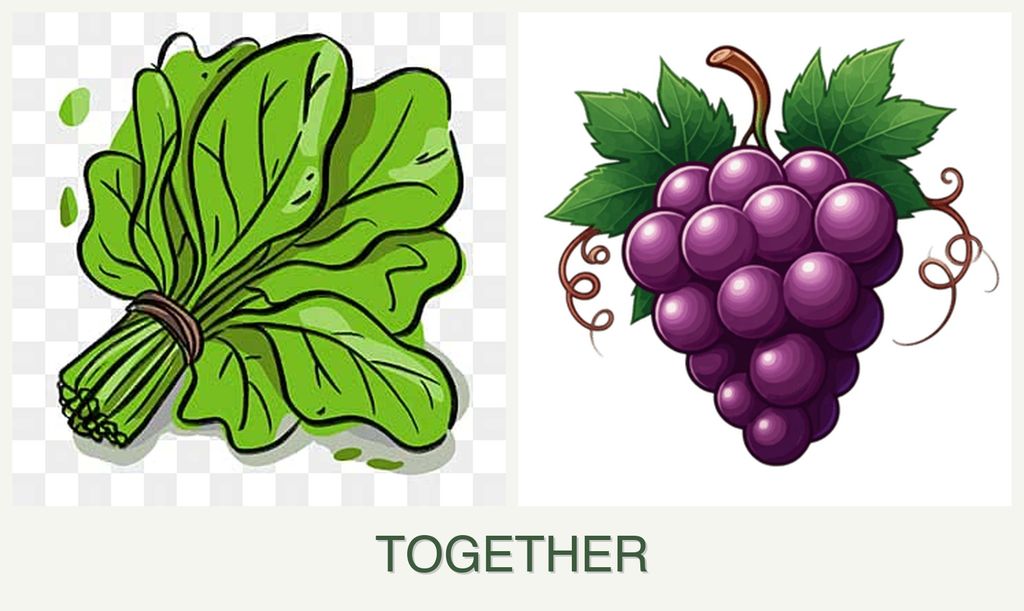 Can you plant spinach and grapes together?