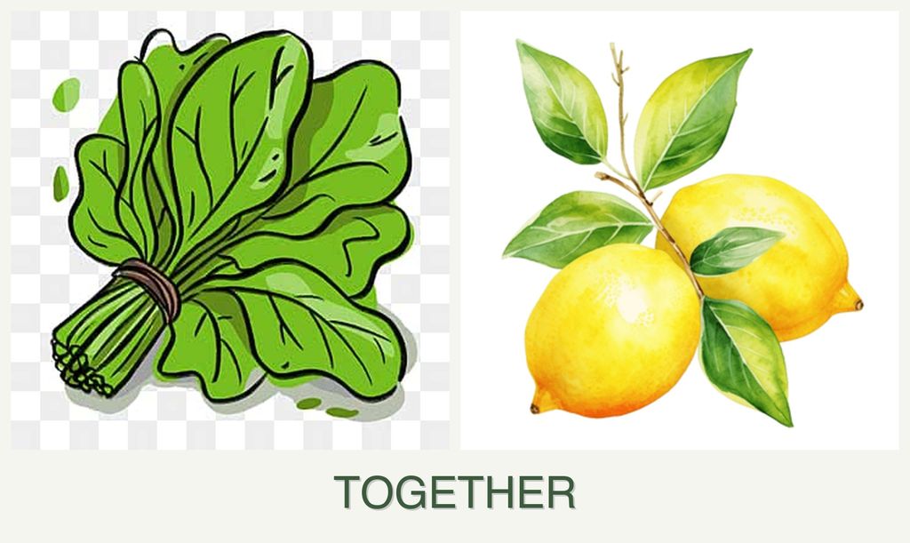 Can you plant spinach and lemons together?