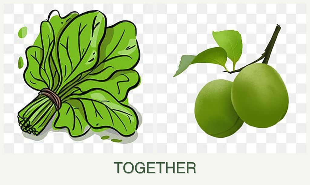 Can you plant spinach and plums together?