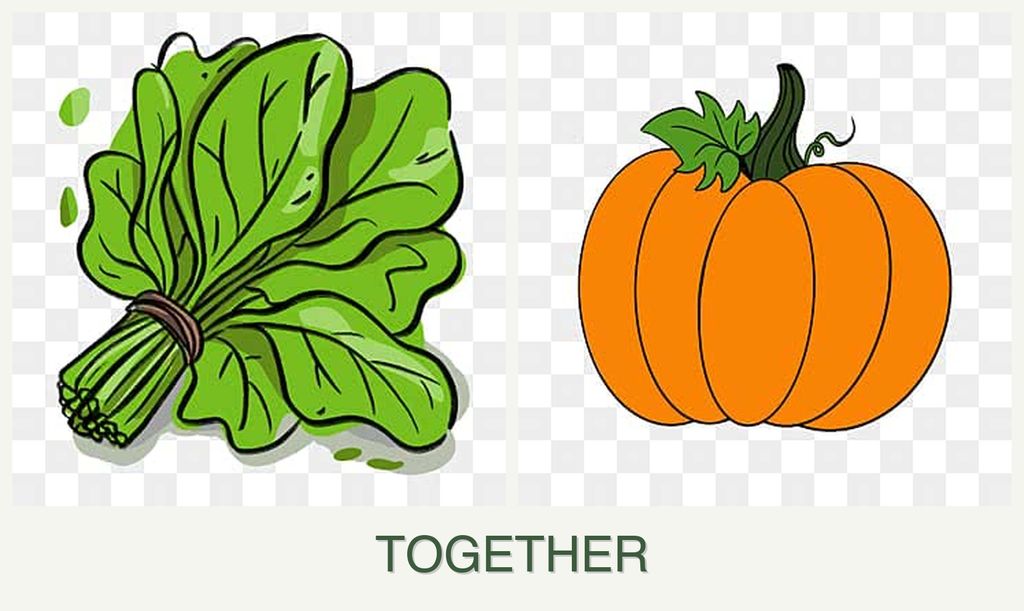 Can you plant spinach and pumpkin together?