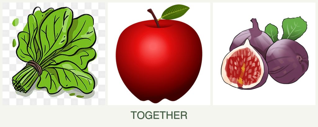 Can you plant spinach, apples and figs together?