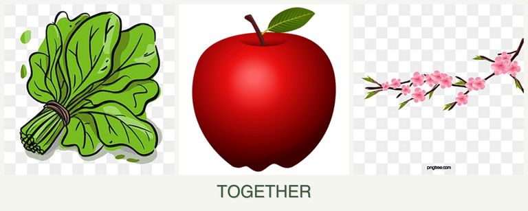 Can you plant spinach, apples and peaches together?