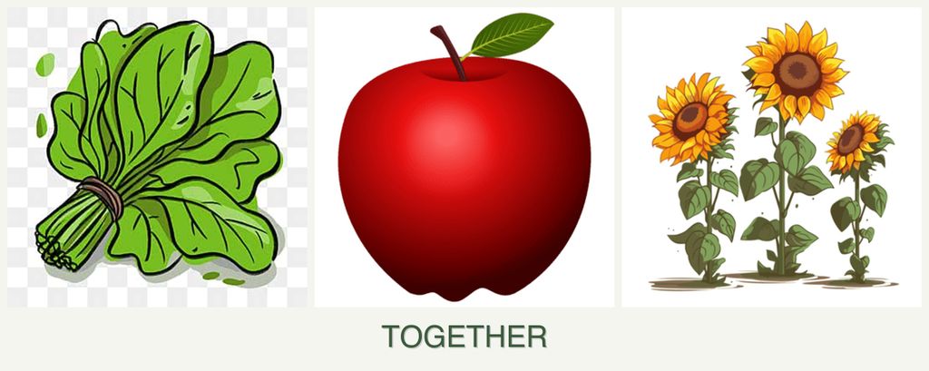 Can you plant spinach, apples and sunflowers together?