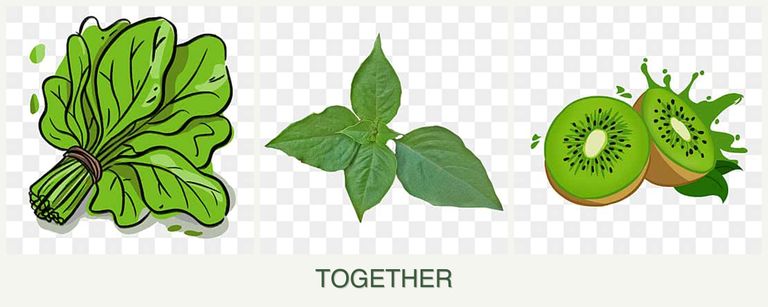 Can you plant spinach, basil and kiwi together?
