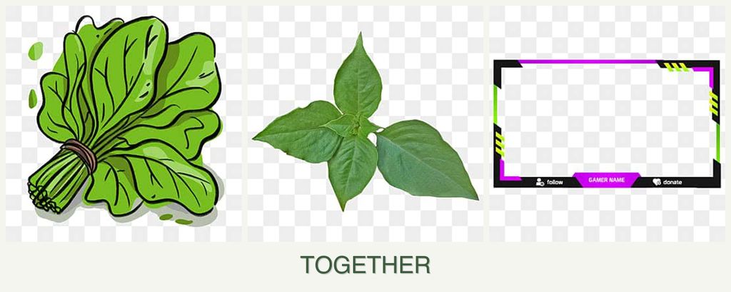 Can you plant spinach, basil and limes together?