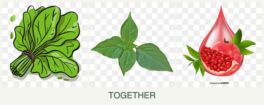Can you plant spinach, basil and pomegranates together?