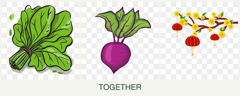 Can you plant spinach, beets and apricots together?