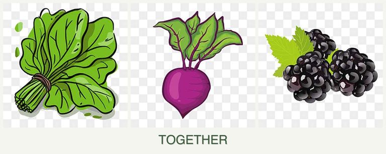 Can you plant spinach, beets and blackberries together?