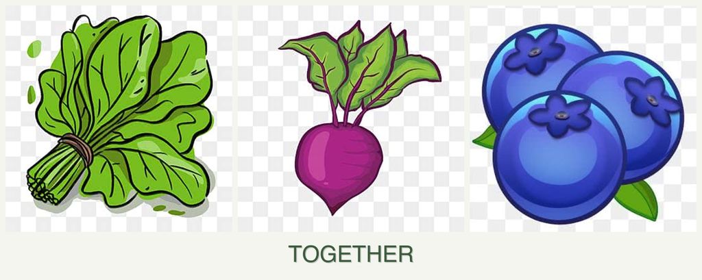 Can you plant spinach, beets and blueberries together?
