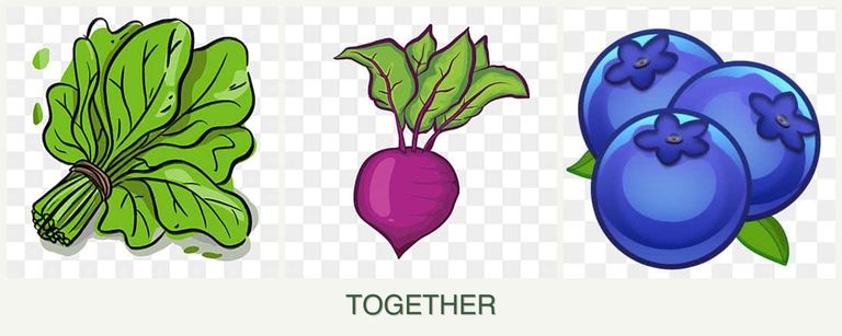 Can you plant spinach, beets and blueberries together?