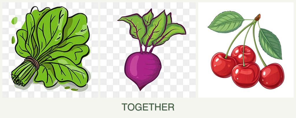 Can you plant spinach, beets and cherries together?