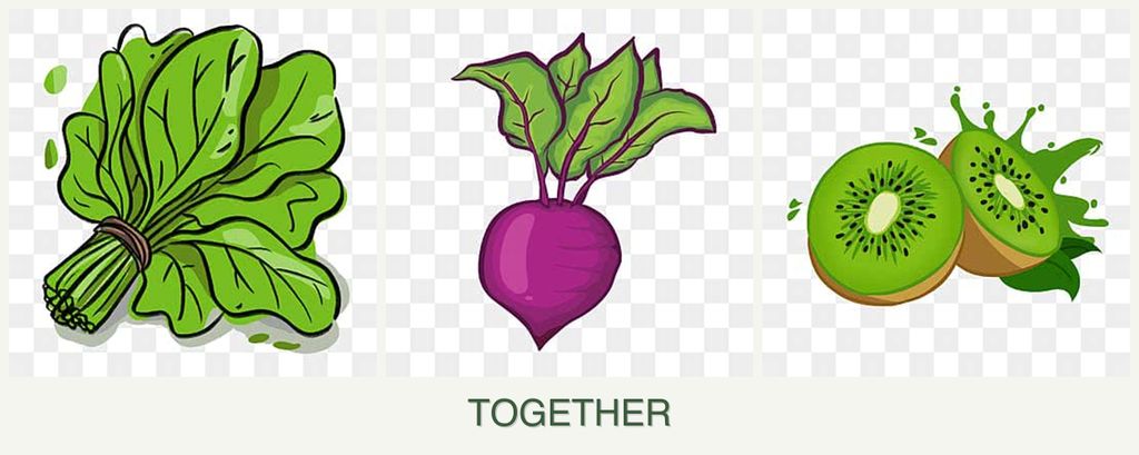 Can you plant spinach, beets and kiwi together?