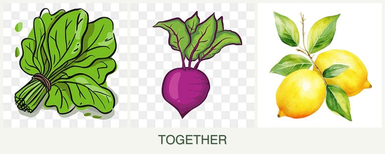 Can you plant spinach, beets and lemons together?