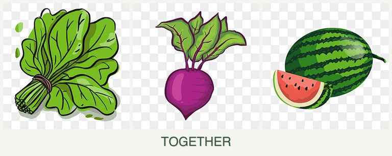 Can you plant spinach, beets and melons together?