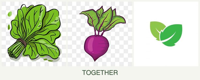 Can you plant spinach, beets and mint together?