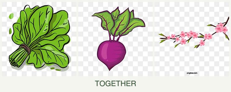 Can you plant spinach, beets and peaches together?