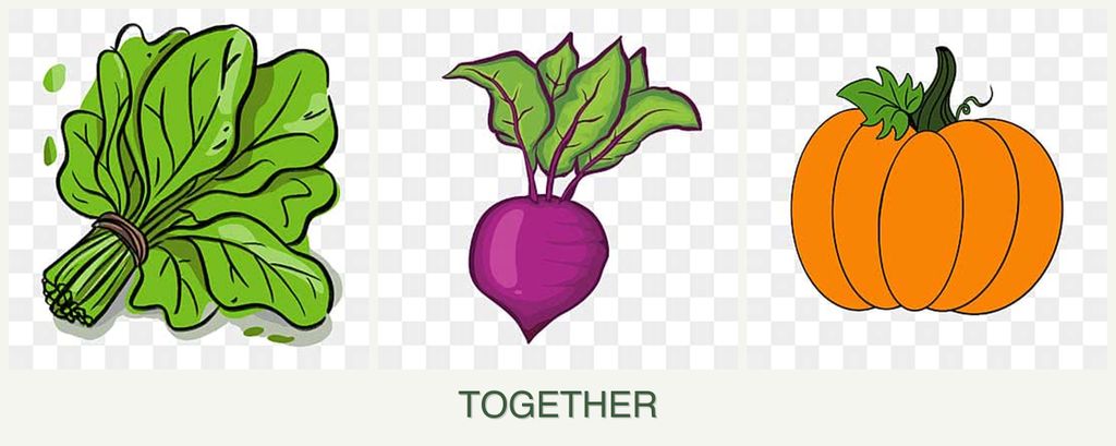 Can you plant spinach, beets and pumpkin together?