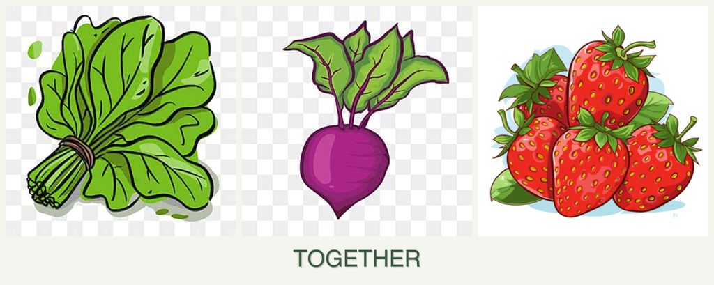 Can you plant spinach, beets and strawberries together?