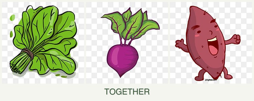 Can you plant spinach, beets and sweet potatoes together?