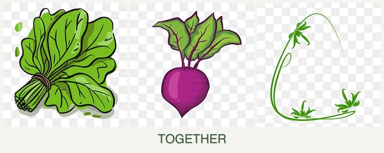 Can you plant spinach, beets and tarragon together?