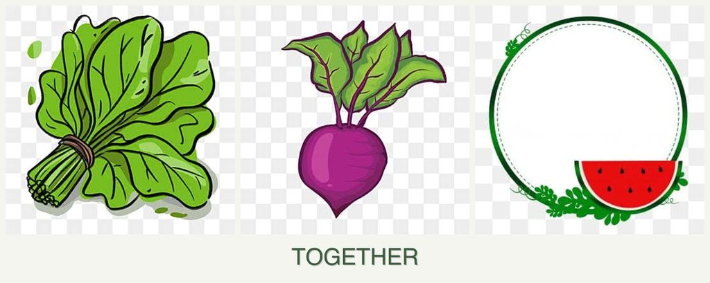 Can you plant spinach, beets and watermelons together?