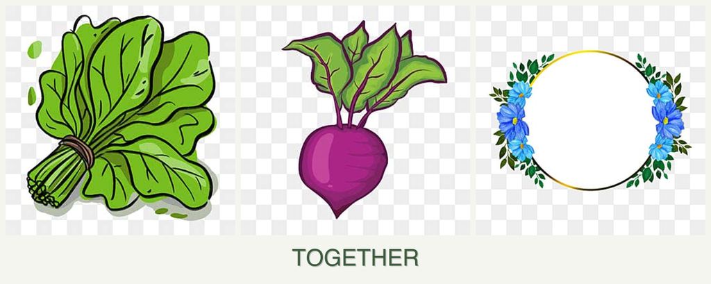 Can you plant spinach, beets and zinnias together?