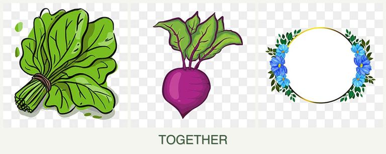 Can you plant spinach, beets and zinnias together?