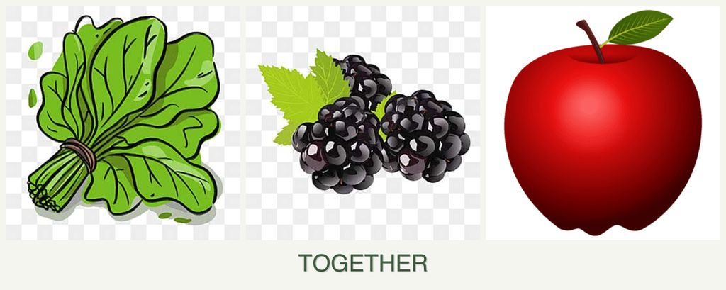 Can you plant spinach, blackberries and apples together?