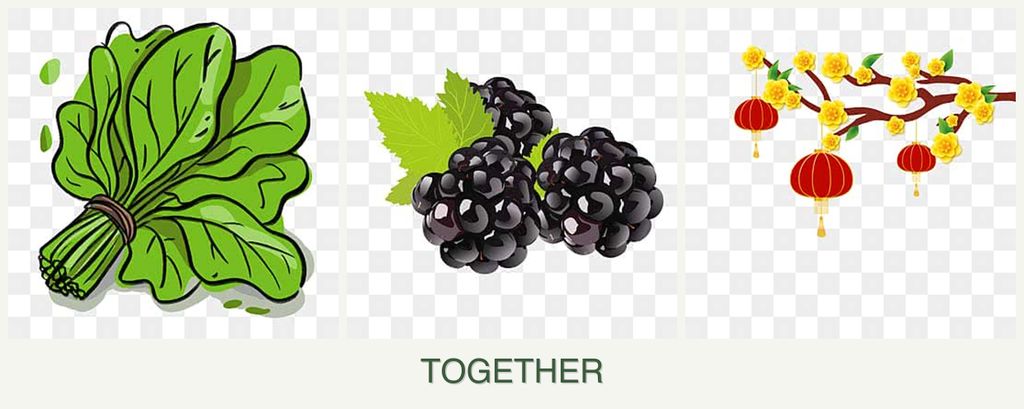 Can you plant spinach, blackberries and apricots together?