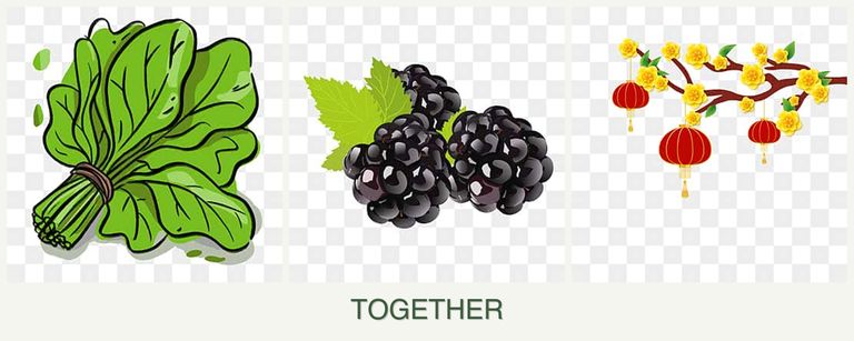 Can you plant spinach, blackberries and apricots together?
