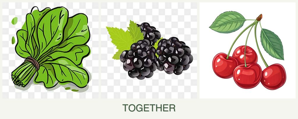 Can you plant spinach, blackberries and cherries together?