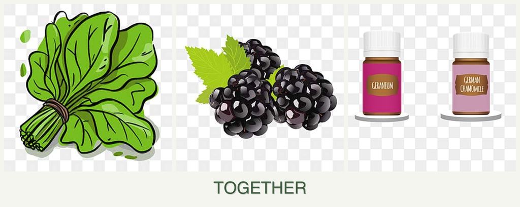 Can you plant spinach, blackberries and geraniums together?