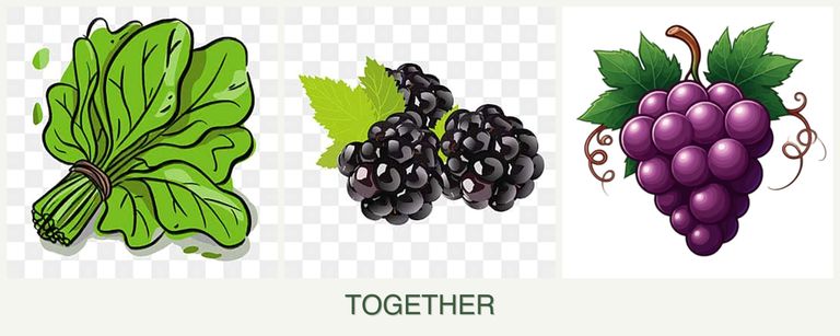 Can you plant spinach, blackberries and grapes together?