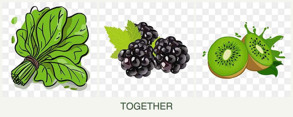 Can you plant spinach, blackberries and kiwi together?