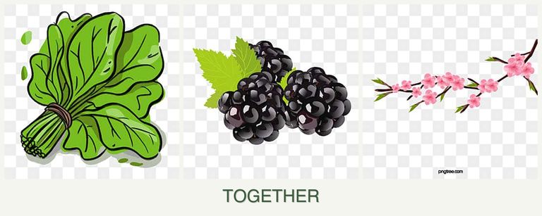 Can you plant spinach, blackberries and peaches together?