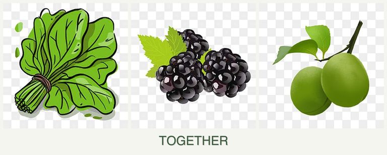 Can you plant spinach, blackberries and plums together?