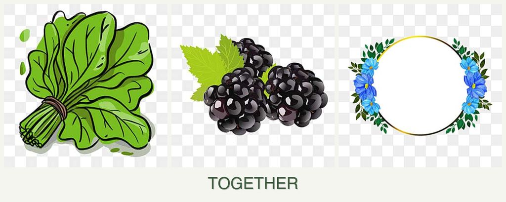 Can you plant spinach, blackberries and zinnias together?