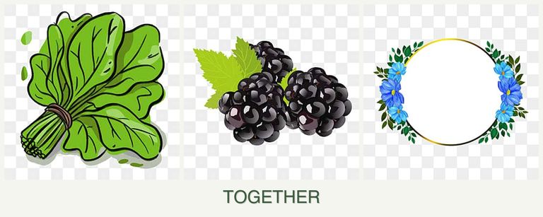 Can you plant spinach, blackberries and zinnias together?