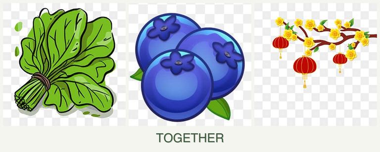 Can you plant spinach, blueberries and apricots together?