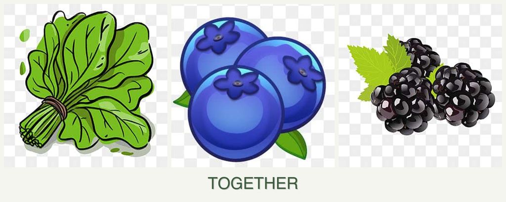 Can you plant spinach, blueberries and blackberries together?