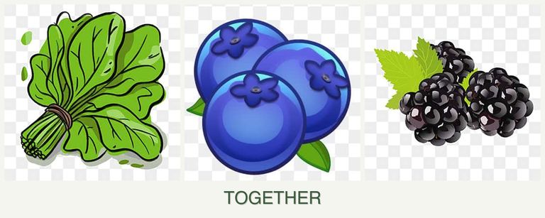 Can you plant spinach, blueberries and blackberries together?